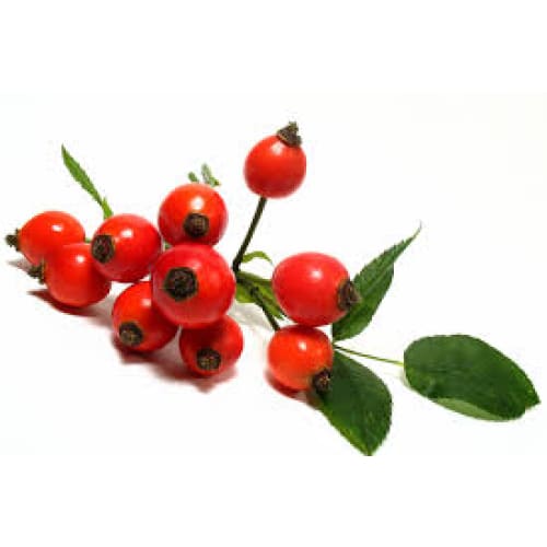 Organic Rosehip Seed Oil (Rosa Canina) • Regenerate