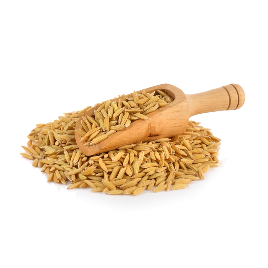 Rice Bran Oil • Oryza Sativa • Anti-inflammatory