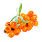 Virgin Organic Seabuckthorn Fruit Oil (Hippophae